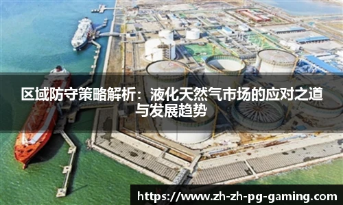 区域防守策略解析：液化天然气市场的应对之道与发展趋势